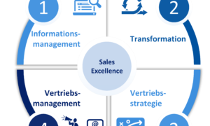 Sales Excellence: Einführung 2019