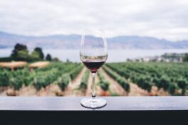 Kundensegmentierung im Weinhandel